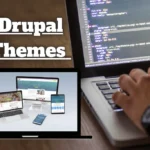 Drupal Themes